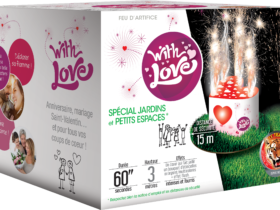Feu d'artifice mariage With Love — Cœur étincelles | Pyragric
