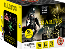 Feu d'artifice à tirer soi même DARIUS 56 coups